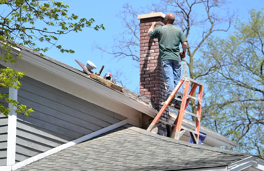 Chimney & Fireplace Inspections Services in Kalamazoo, MI
